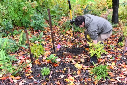 Cathedral Park Planting November 2025