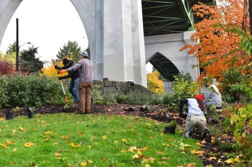 Cathedral Park Planting November 2025