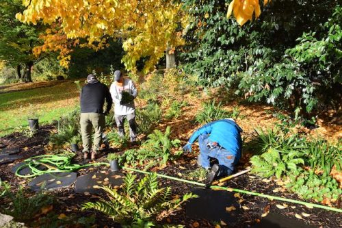 Cathedral Park Planting November 2025
