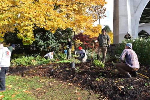 Cathedral Park Planting November 2025