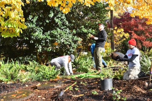 Cathedral Park Planting November 2025