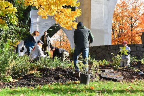 Cathedral Park Planting November 2025