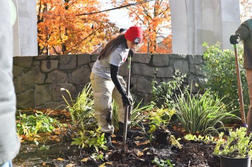 Cathedral Park Planting November 2025