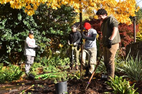 Cathedral Park Planting November 2025