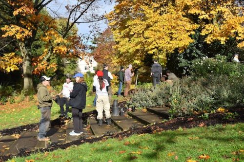 Cathedral Park Planting November 2025