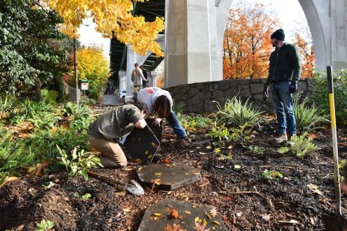 Cathedral Park Planting November 2025