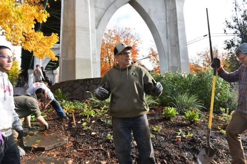 Cathedral Park Planting November 2025