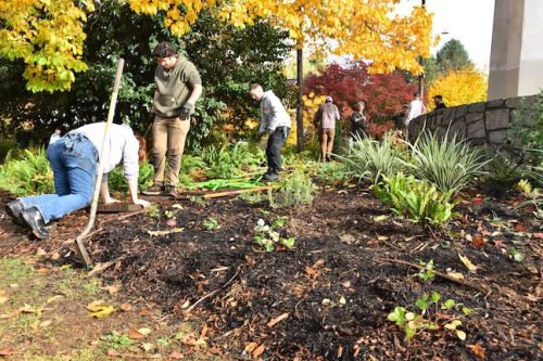Cathedral Park Planting - Nov. 2025