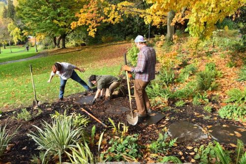 Cathedral Park Planting November 2025
