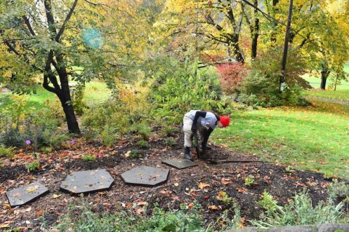 Cathedral Park Planting November 2025