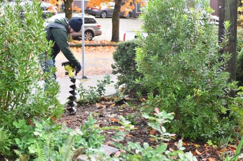 Cathedral Park Planting November 2025
