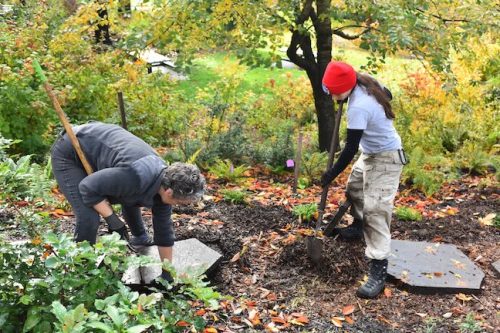 Cathedral Park Planting November 2025