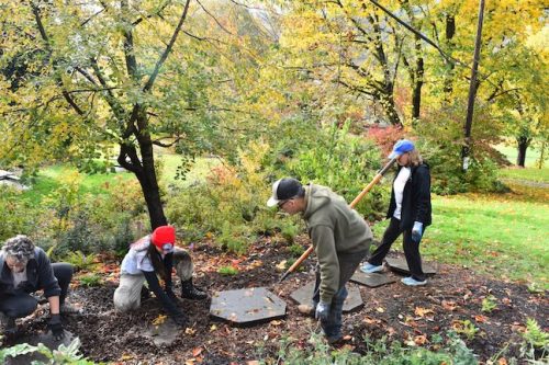 Cathedral Park Planting November 2025