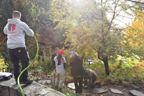 Cathedral Park Planting November 2025