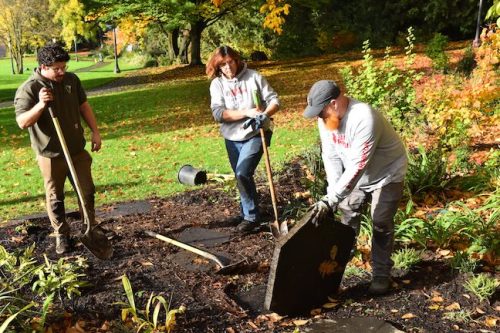 Cathedral Park Planting November 2025