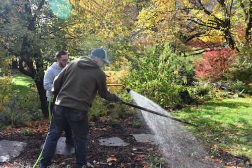 Cathedral Park Planting November 2025