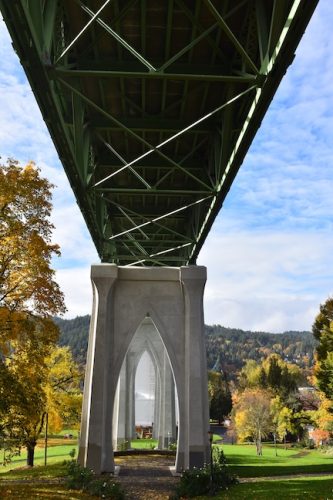 Cathedral Park Planting November 2025