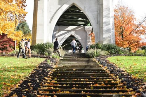 Cathedral Park Planting November 2025