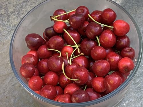 Photo of VetREST 2026 Cherry Picking Potluck event – June 17, Hillsboro