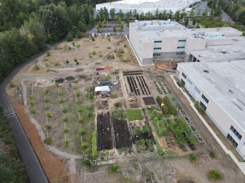 August 2025 ~ Bybee Lakes Hope Center Victory Garden Volunteer Harvest Day