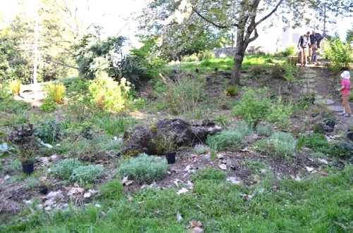 Cathedral Park Planting April 2025