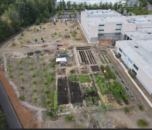 August 2025 ~ Bybee Lakes Hope Center Victory Garden Volunteer Harvest Day