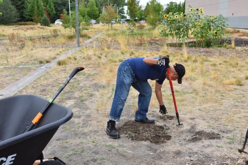 August 2025 ~ Bybee Lakes Hope Center Victory Garden Volunteer Harvest Day