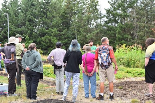 August 2025 ~ Bybee Lakes Hope Center Victory Garden Volunteer Harvest Day