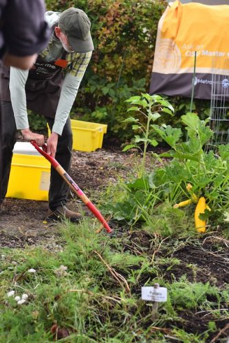 August 2025 ~ Bybee Lakes Hope Center Victory Garden Volunteer Harvest Day