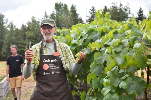 August 2025 ~ Bybee Lakes Hope Center Victory Garden Volunteer Harvest Day