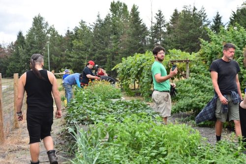 August 2025 ~ Bybee Lakes Hope Center Victory Garden Volunteer Harvest Day