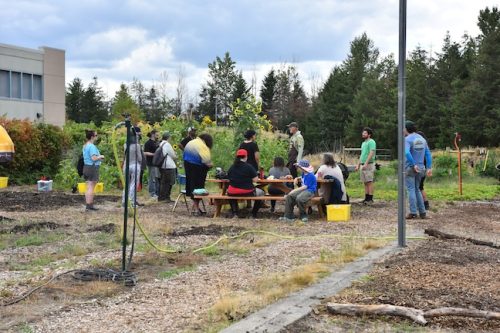 August 2025 ~ Bybee Lakes Hope Center Victory Garden Volunteer Harvest Day