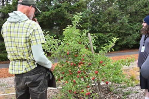 August 2025 ~ Bybee Lakes Hope Center Victory Garden Volunteer Harvest Day