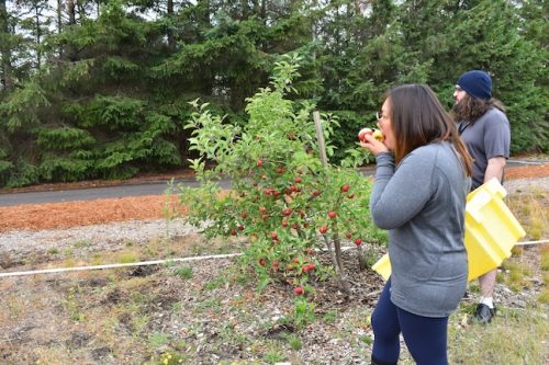 August 2025 ~ Bybee Lakes Hope Center Victory Garden Volunteer Harvest Day