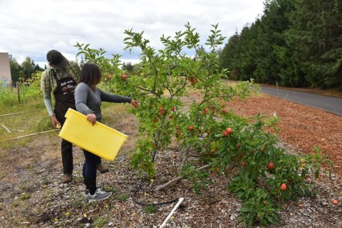 August 2025 ~ Bybee Lakes Hope Center Victory Garden Volunteer Harvest Day