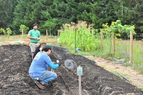 August 2025 ~ Bybee Lakes Hope Center Victory Garden Volunteer Harvest Day