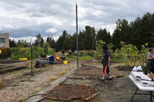 August 2025 ~ Bybee Lakes Hope Center Victory Garden Volunteer Harvest Day