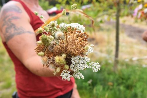 August 2025 ~ Bybee Lakes Hope Center Victory Garden Volunteer Harvest Day